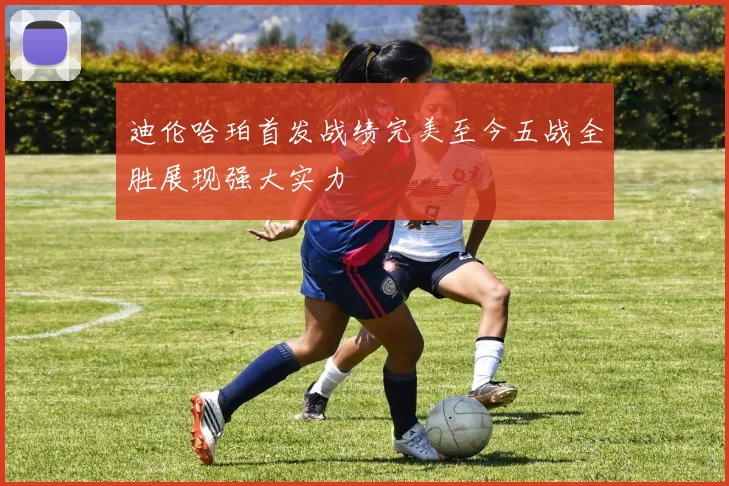 迪伦哈珀首发战绩完美至今五战全胜展现强大实力