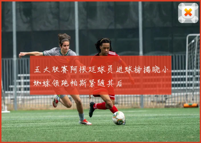 五大联赛阿根廷球员进球榜揭晓小蜘蛛领跑帕斯紧随其后